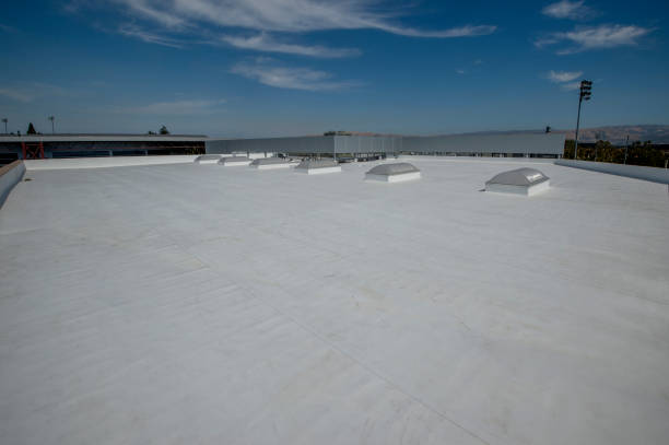 Best Skylight Installation and Repair  in Oroville, WA